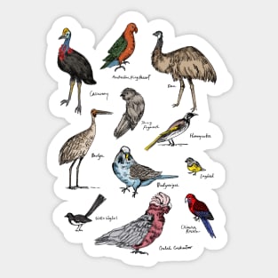 Australian Bird Sticker